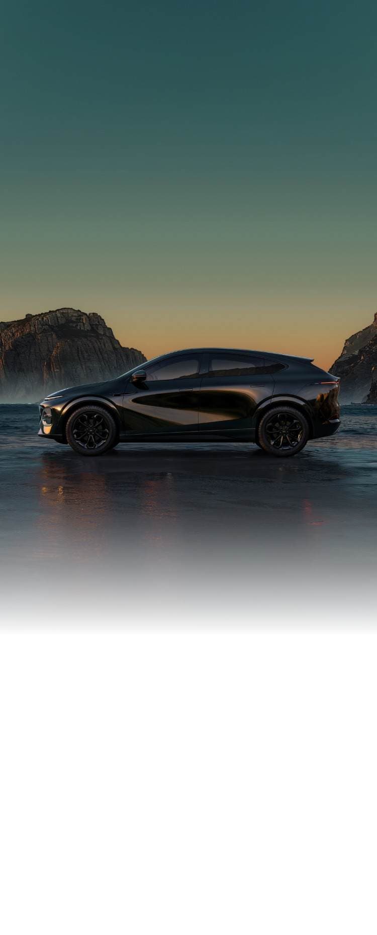 Black Edition Aesthetics