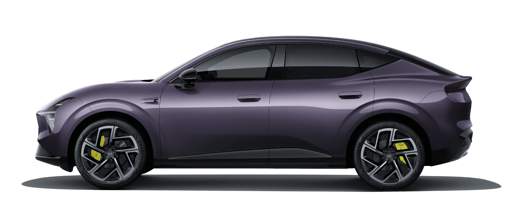 L03 - Phantom Purple